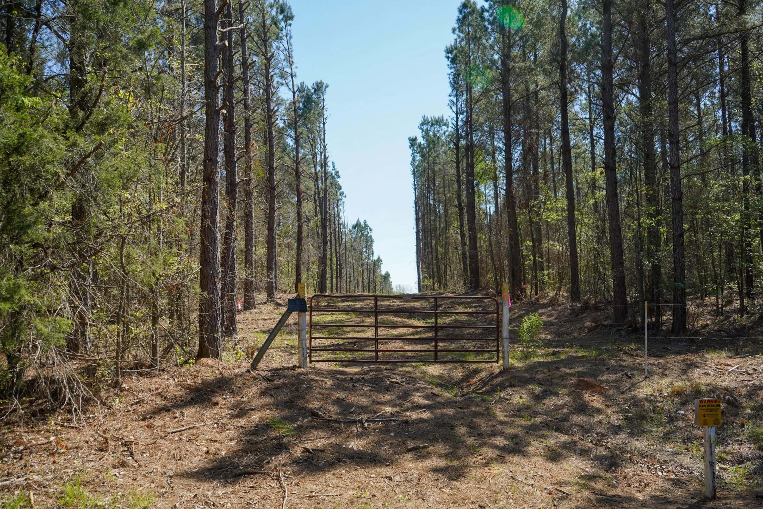 Northeast Lincoln Parish Timberland for Sale