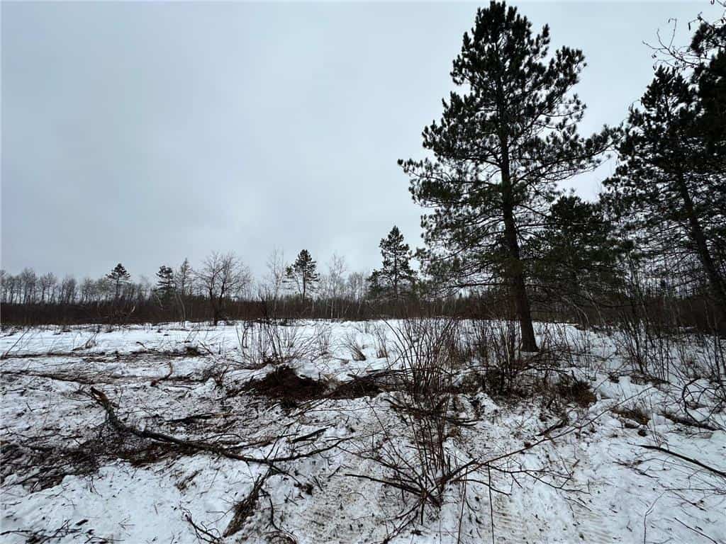 10 Acres of Prime Hunting & Build-Ready Land Near Kerrick
