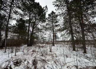 10 Acres of Prime Hunting & Build-Ready Land Near Kerrick