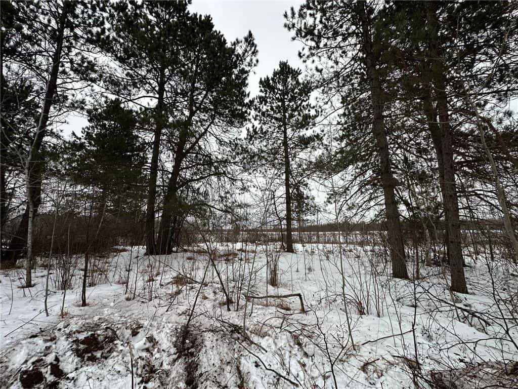 10 Acres of Prime Hunting & Build-Ready Land Near Kerrick