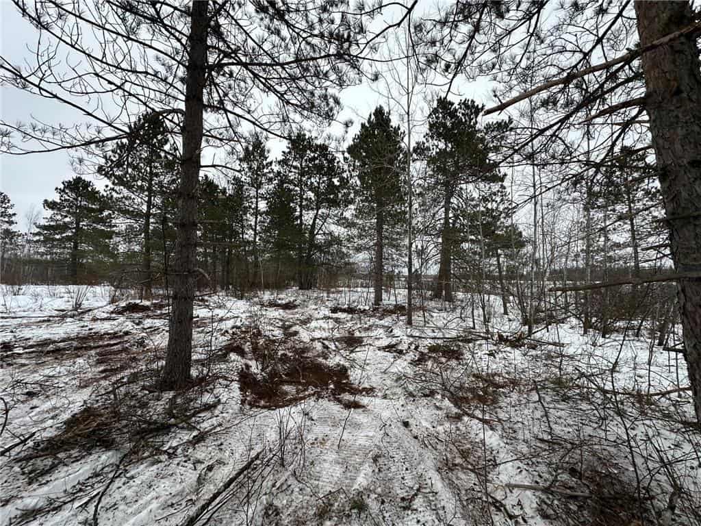 10 Acres of Prime Hunting & Build-Ready Land Near Kerrick