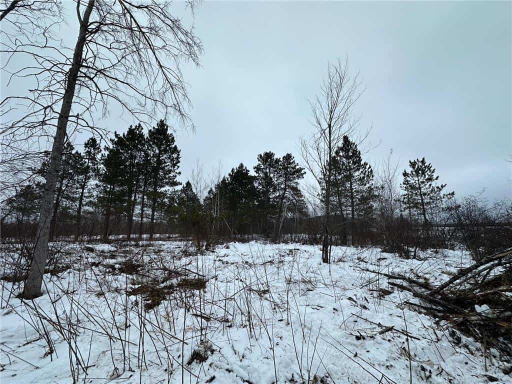 10 Acres of Prime Hunting & Build-Ready Land Near Kerrick