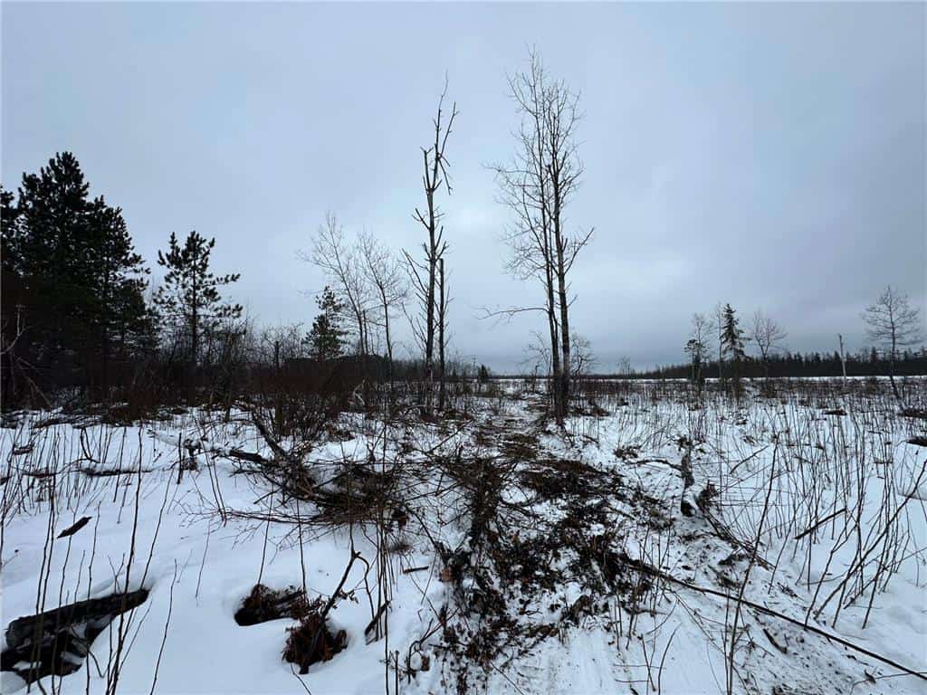 10 Acres of Prime Hunting & Build-Ready Land Near Kerrick