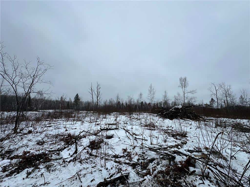 10 Acres of Prime Hunting & Build-Ready Land Near Kerrick