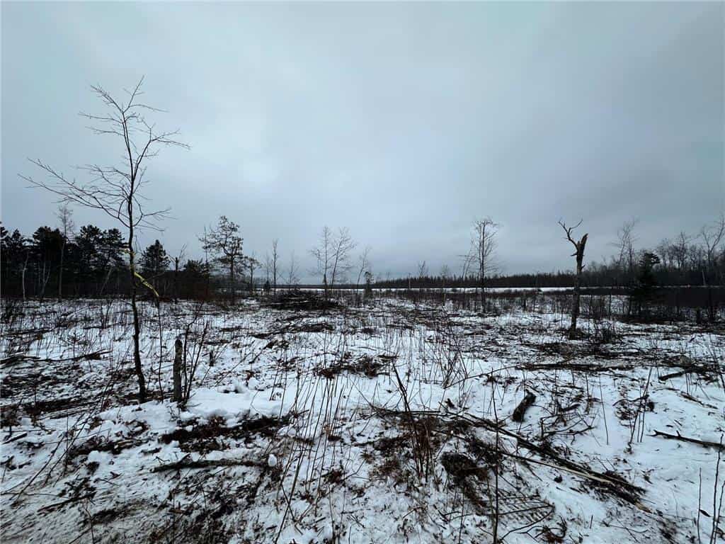 10 Acres of Prime Hunting & Build-Ready Land Near Kerrick