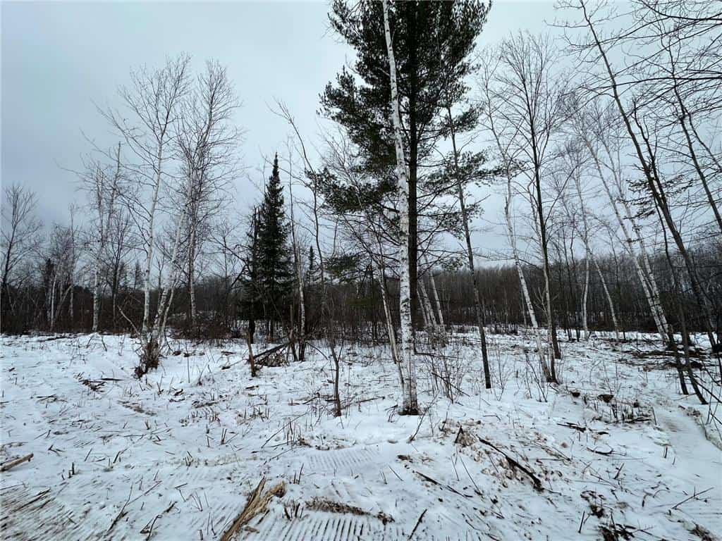 10 Acres of Prime Hunting & Build-Ready Land Near Kerrick