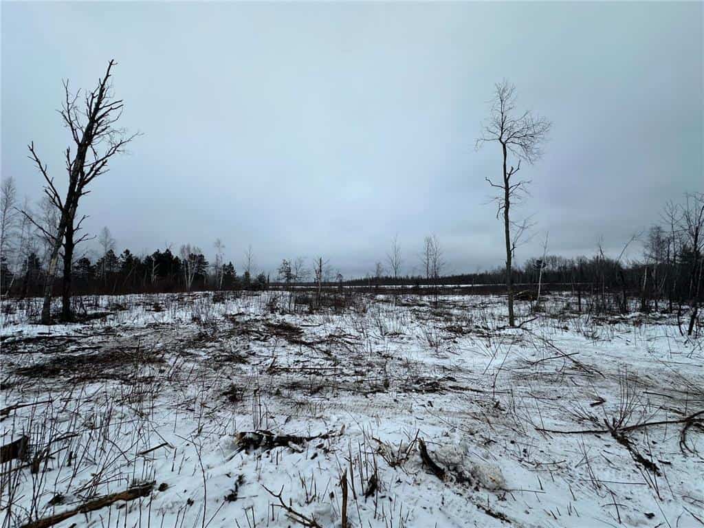 10 Acres of Prime Hunting & Build-Ready Land Near Kerrick
