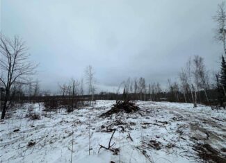 10 Acres of Prime Hunting & Build-Ready Land Near Kerrick