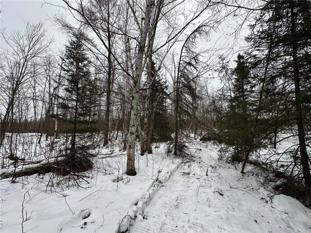 10 Acres For Sale in Pine County Minnesota