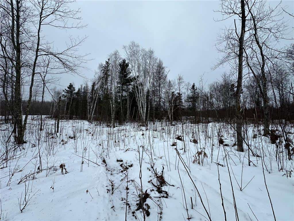 10 Acres For Sale in Pine County Minnesota