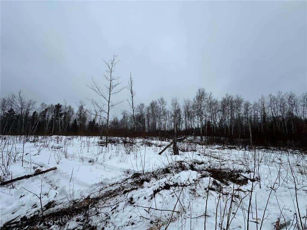 10 Acres For Sale in Pine County Minnesota
