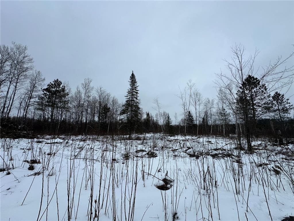 10 Acres For Sale in Pine County Minnesota