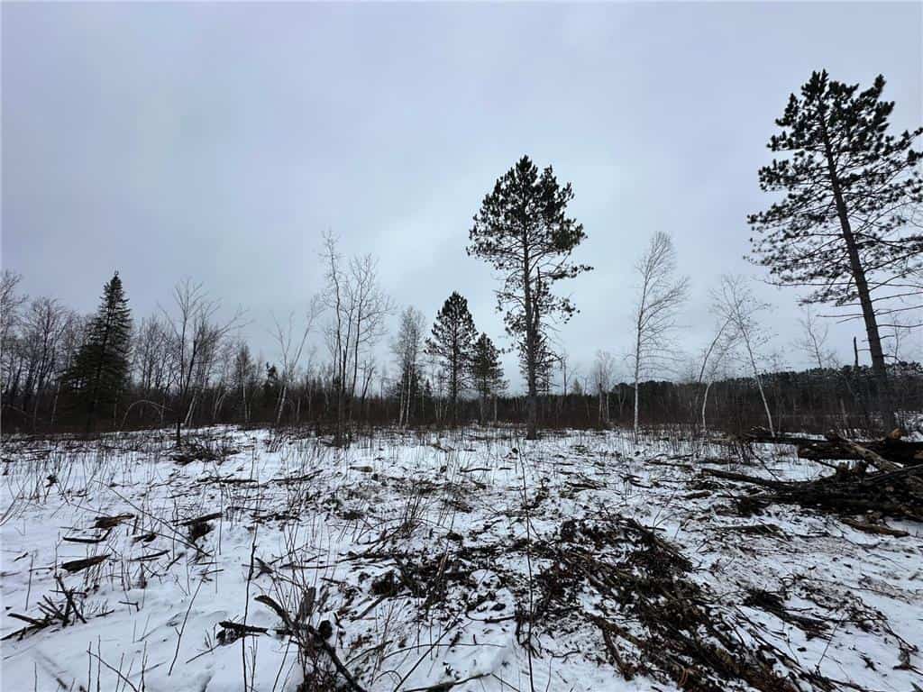 10 Acres For Sale in Pine County Minnesota