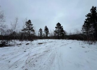 10 Acres For Sale in Pine County Minnesota