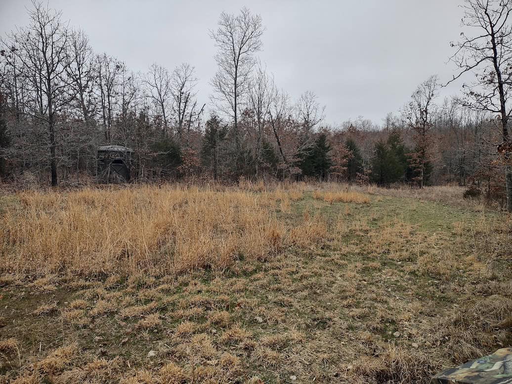 Hunting Paradise with Country Home For SALE in Wright County Mo.