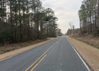 9.5 Acres Timberland Near New Bern & Washington NC