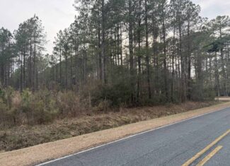 9.5 Acres Timberland Near New Bern & Washington NC