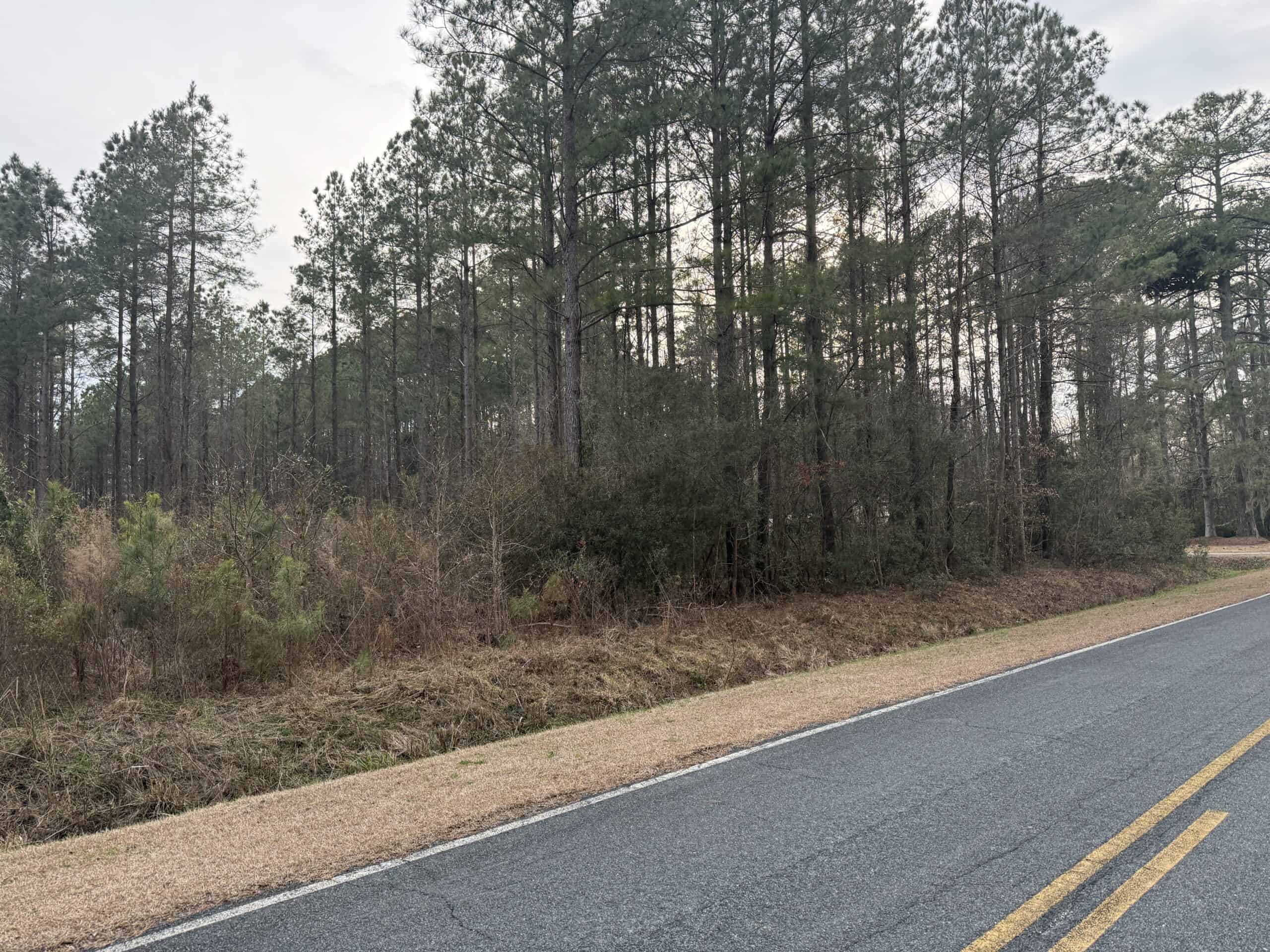 9.5 Acres Timberland Near New Bern & Washington NC