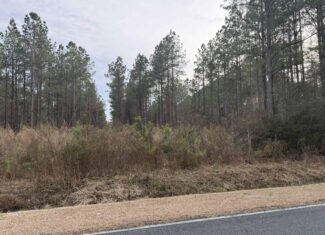9.5 Acres Timberland Near New Bern & Washington NC
