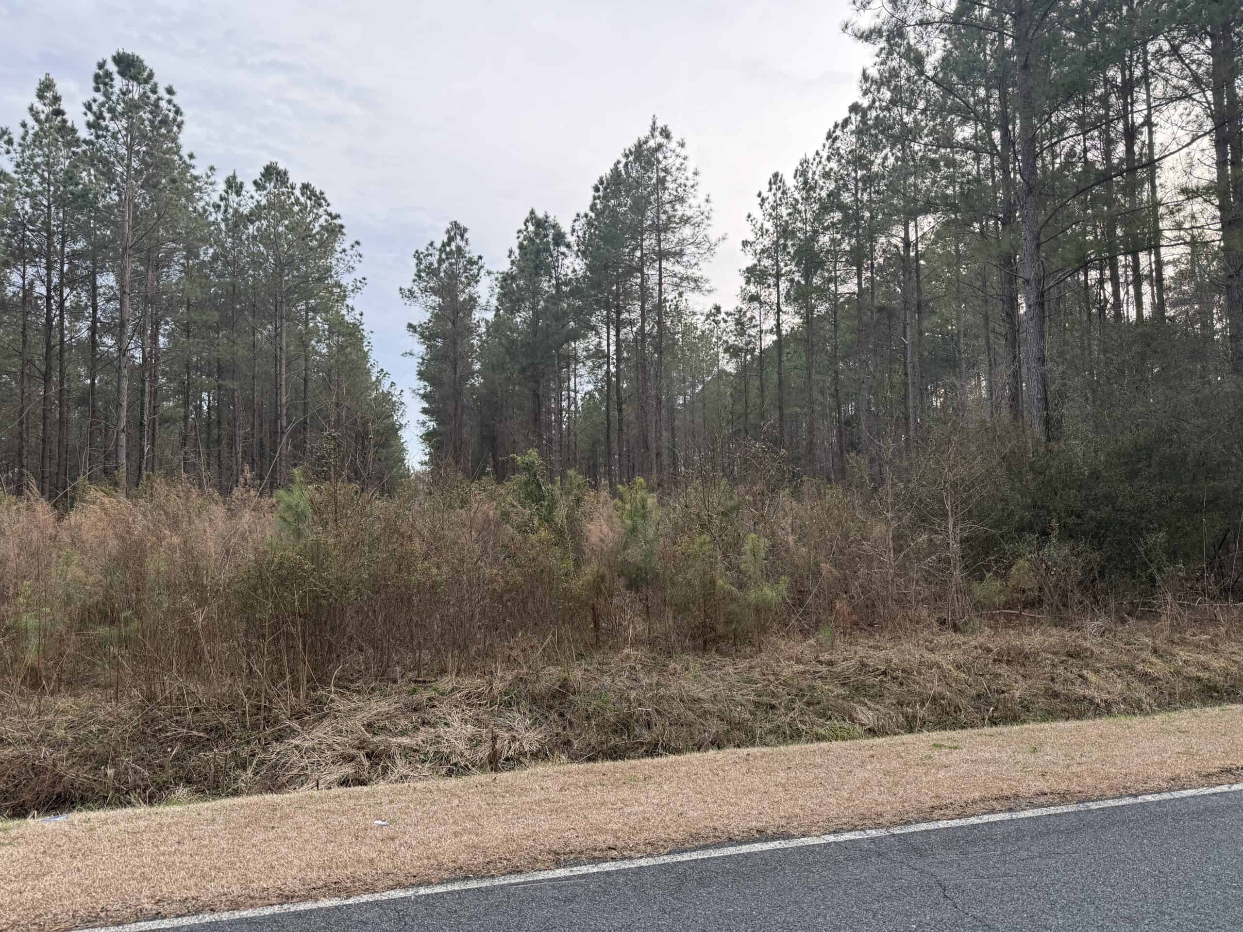 9.5 Acres Timberland Near New Bern & Washington NC