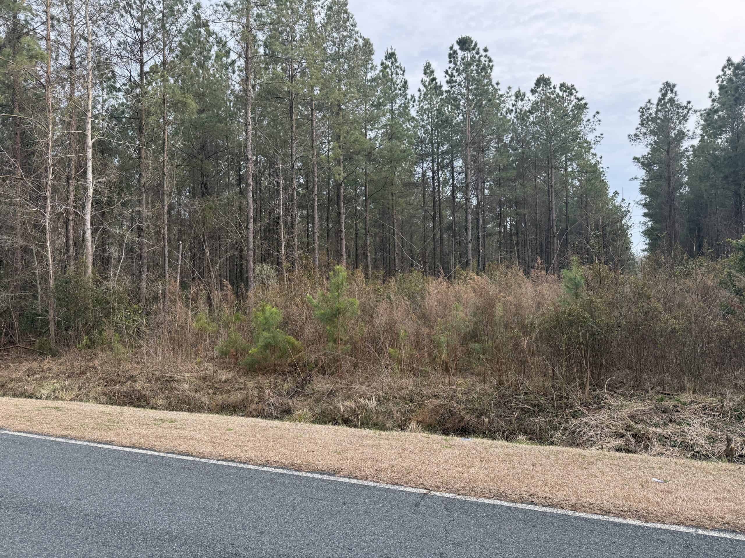 9.5 Acres Timberland Near New Bern & Washington NC