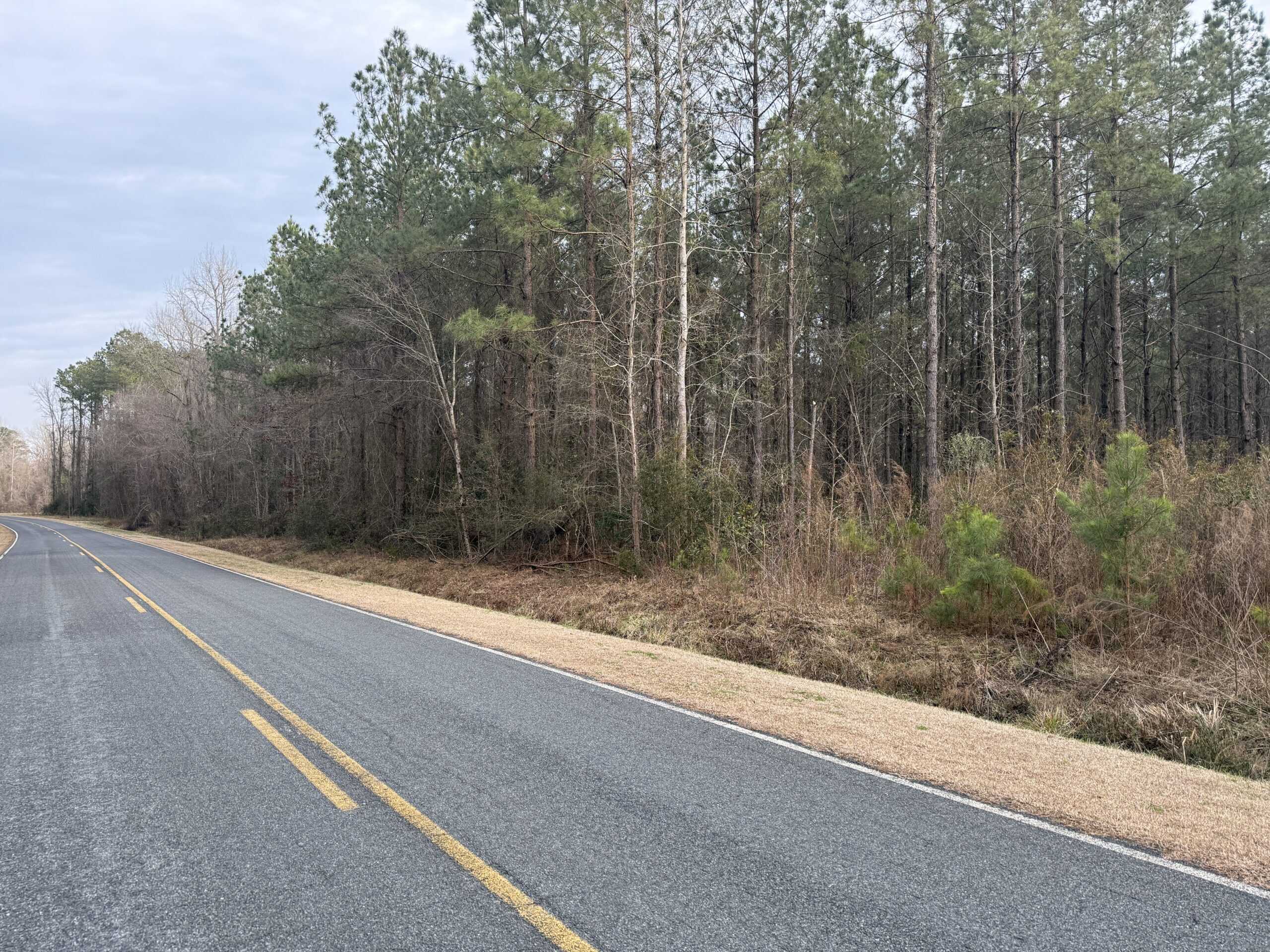 9.5 Acres Timberland Near New Bern & Washington NC