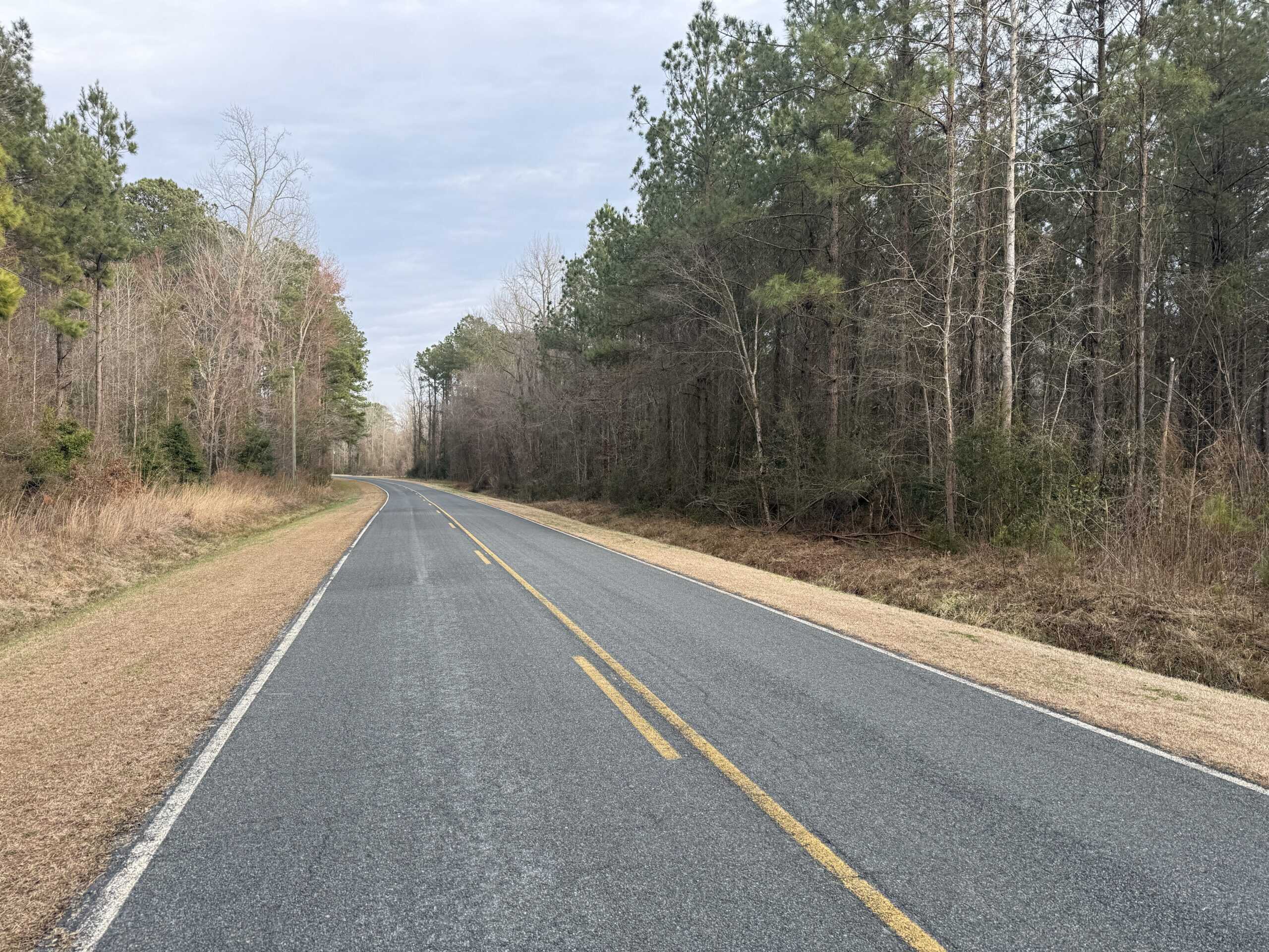 9.5 Acres Timberland Near New Bern & Washington NC