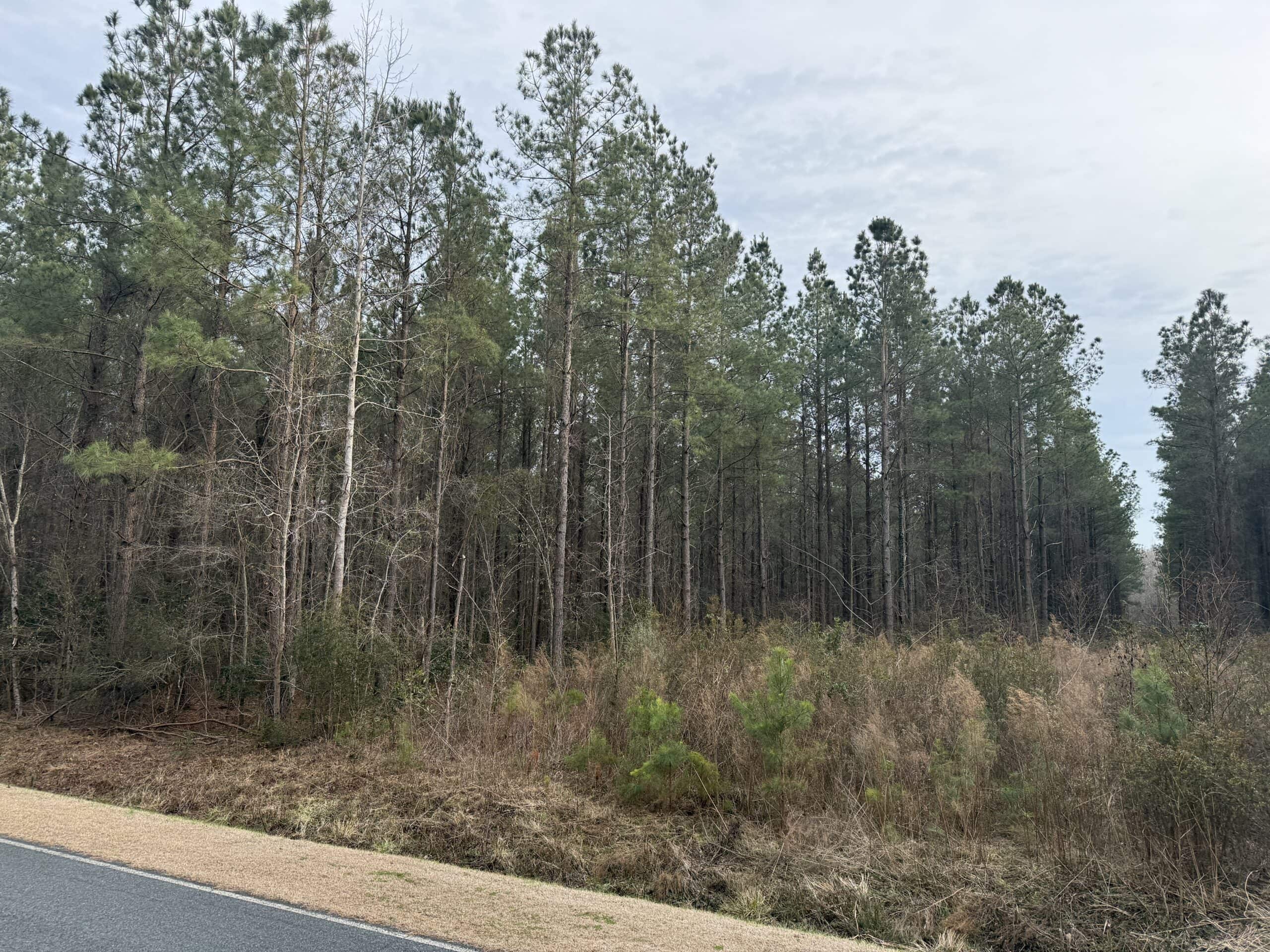 9.5 Acres Timberland Near New Bern & Washington NC