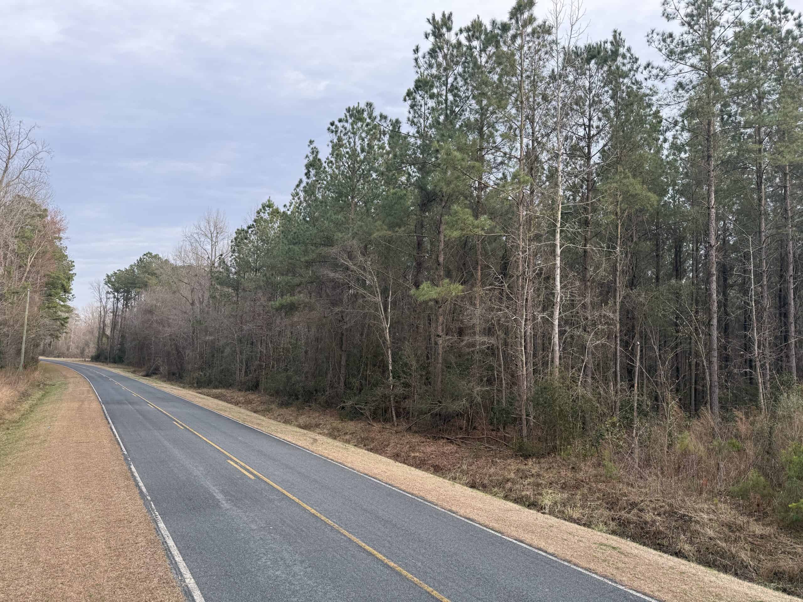 9.5 Acres Timberland Near New Bern & Washington NC