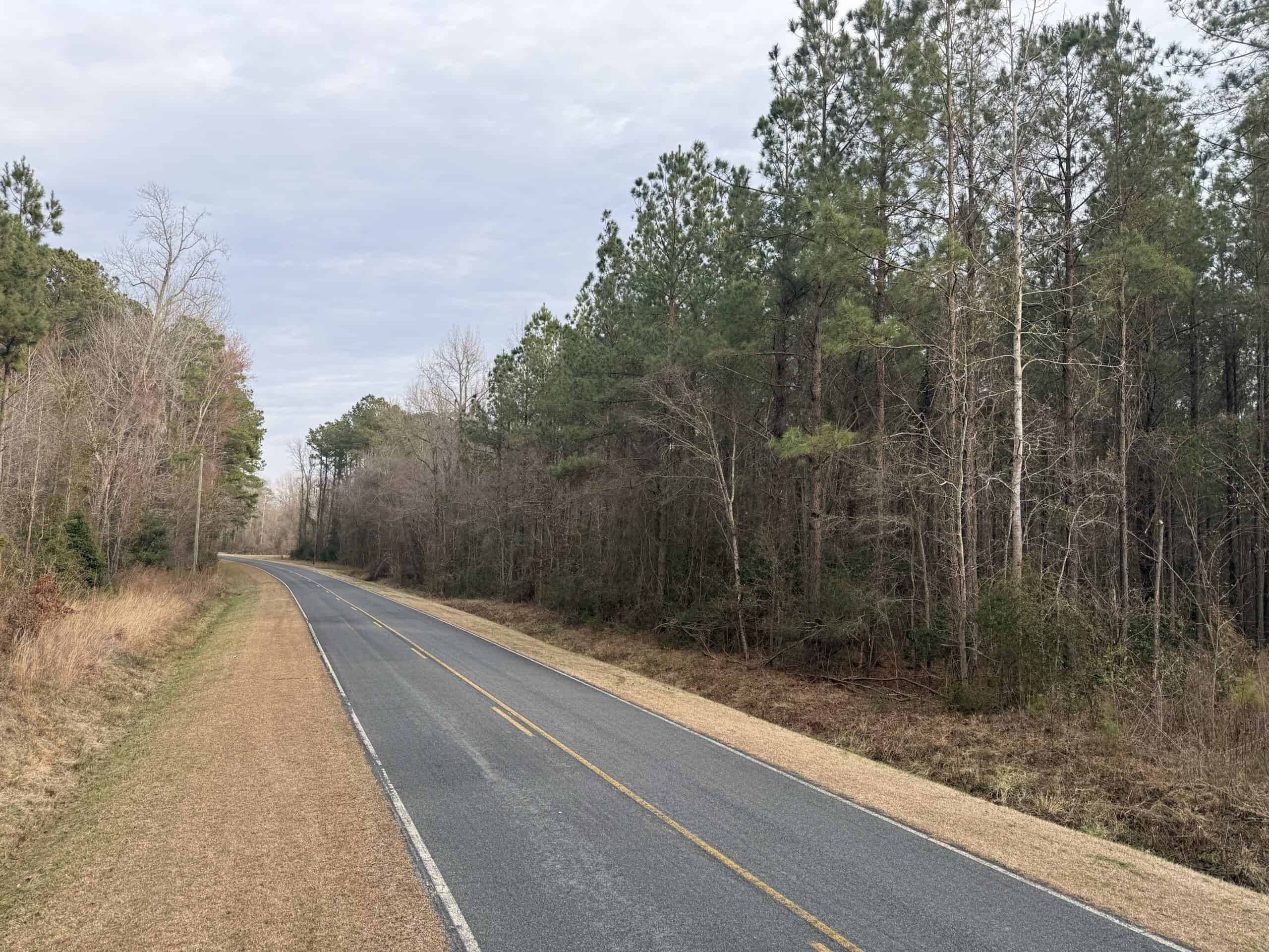 9.5 Acres Timberland Near New Bern & Washington NC