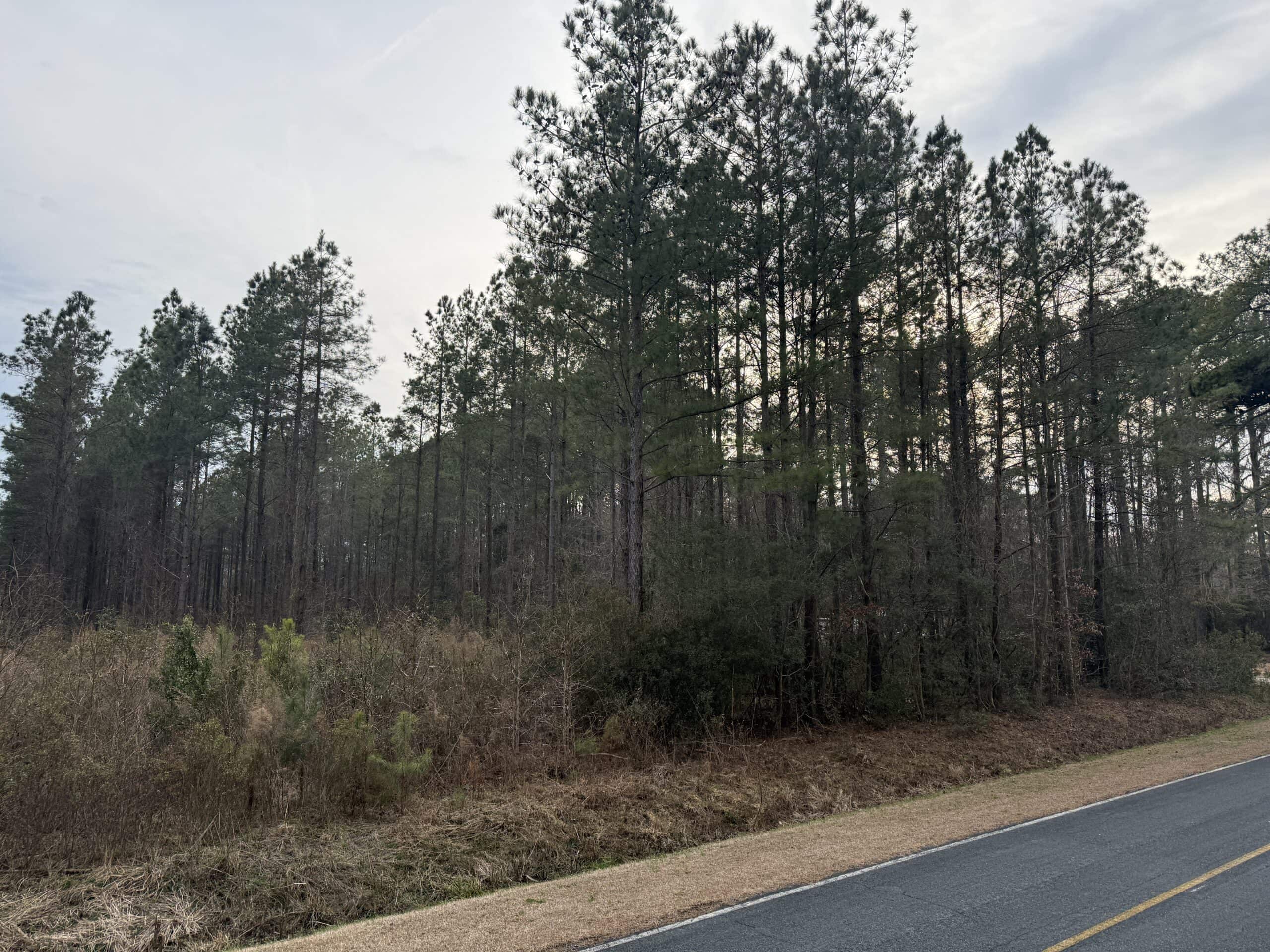 9.5 Acres Timberland Near New Bern & Washington NC