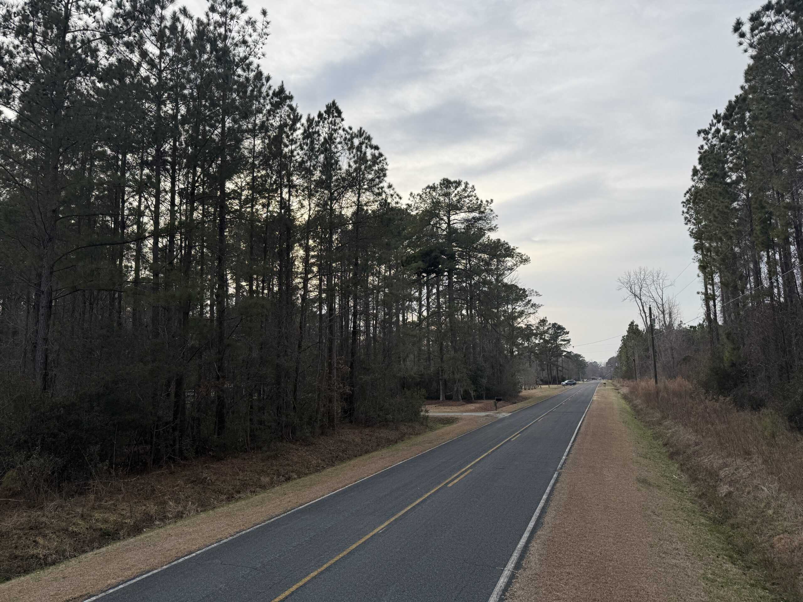 9.5 Acres Timberland Near New Bern & Washington NC