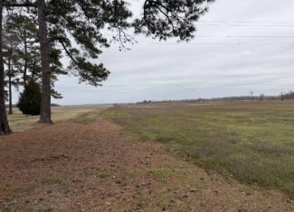 47± Acres Farmland with Road Frontage for Sale