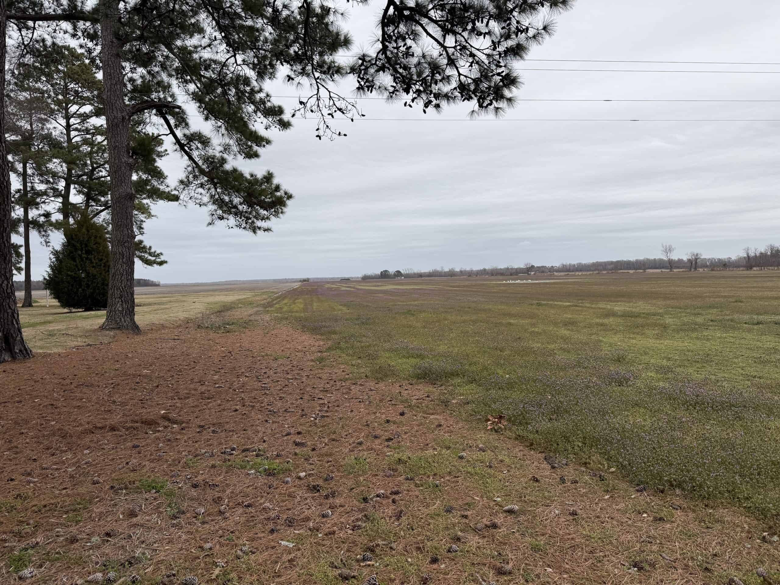 47± Acres Farmland with Road Frontage for Sale