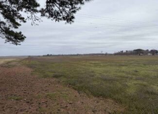 47± Acres Farmland with Road Frontage for Sale