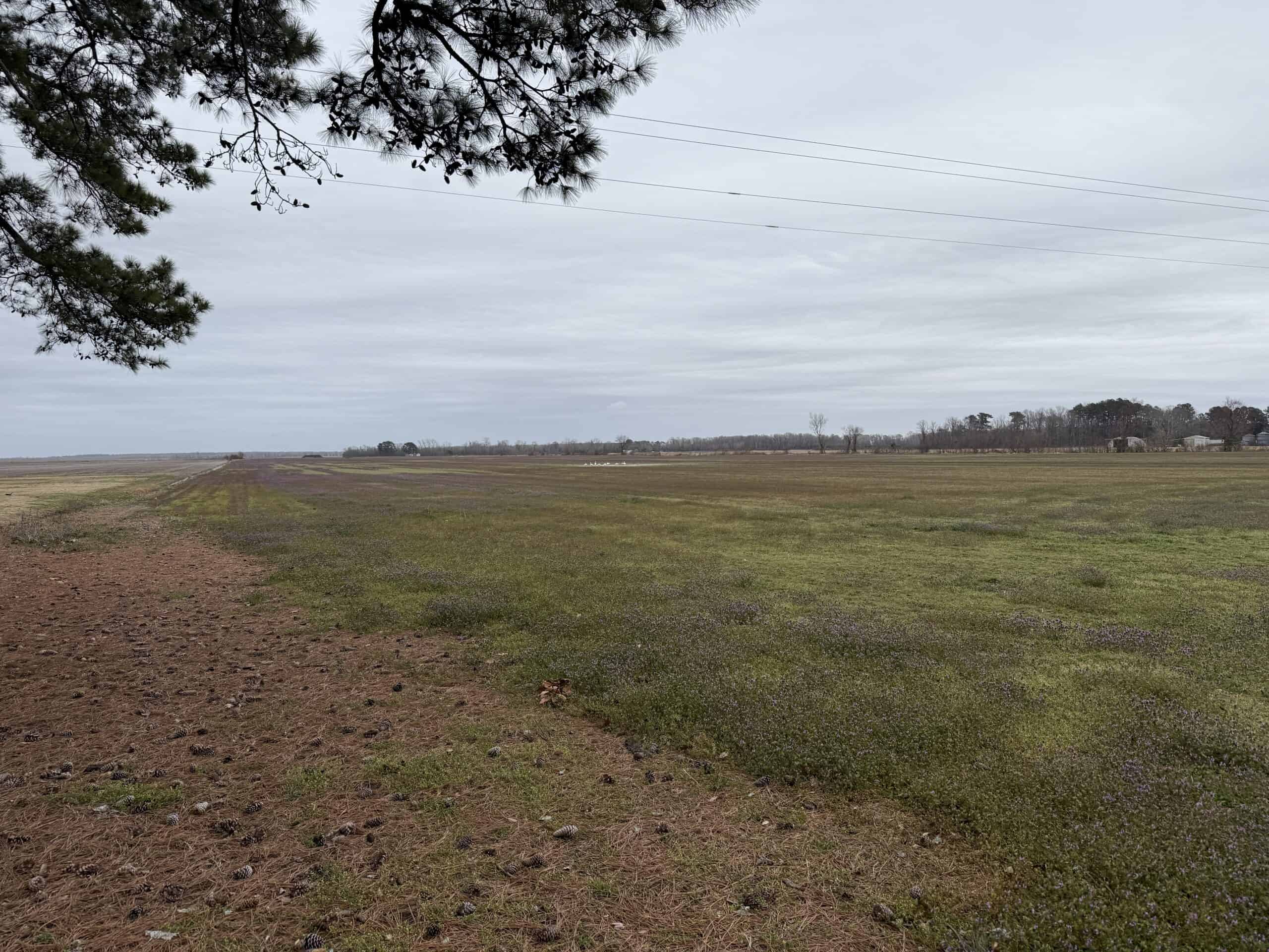 47± Acres Farmland with Road Frontage for Sale