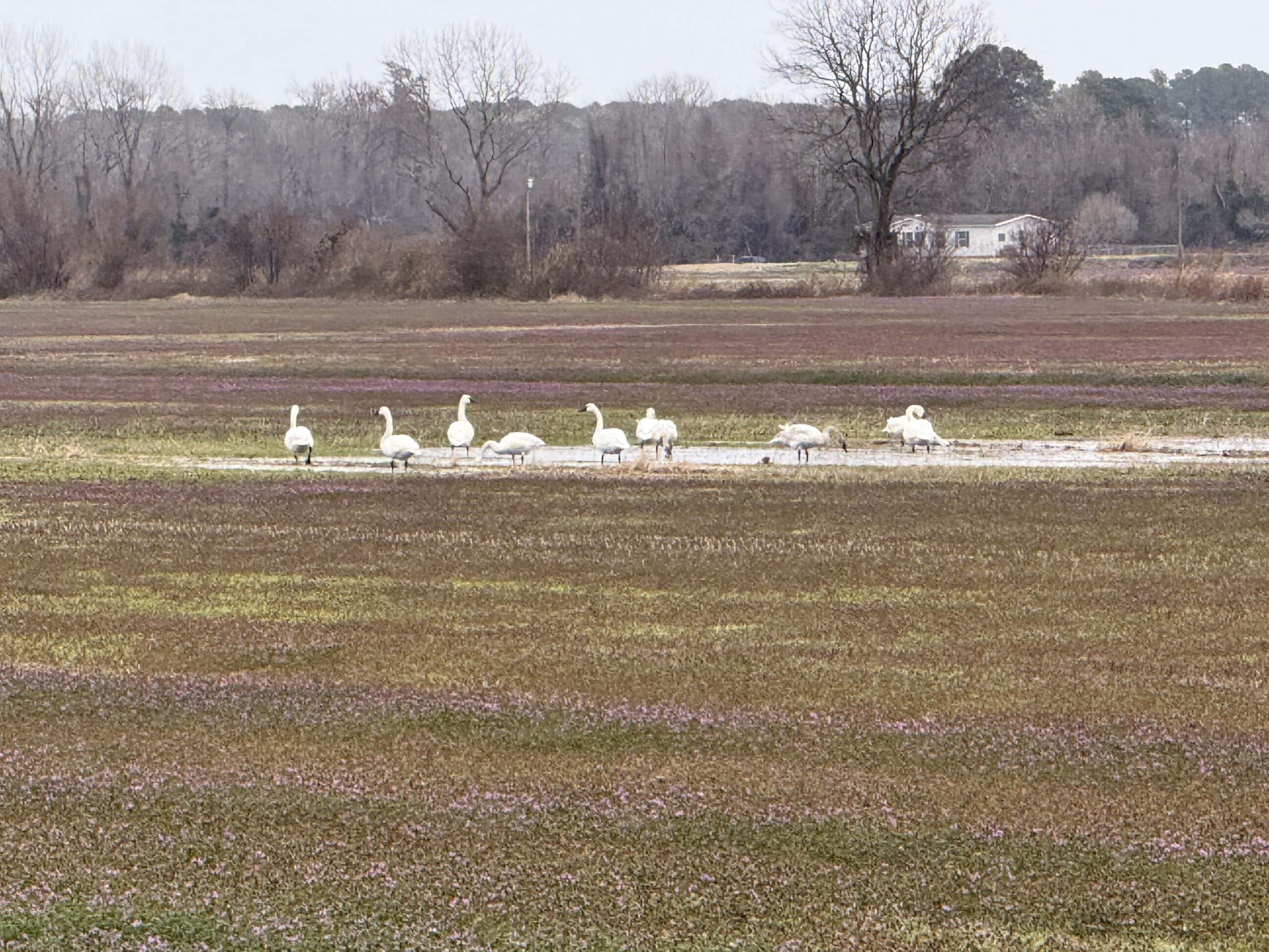 47± Acres Farmland with Road Frontage for Sale
