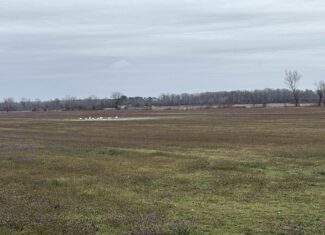 47± Acres Farmland with Road Frontage for Sale
