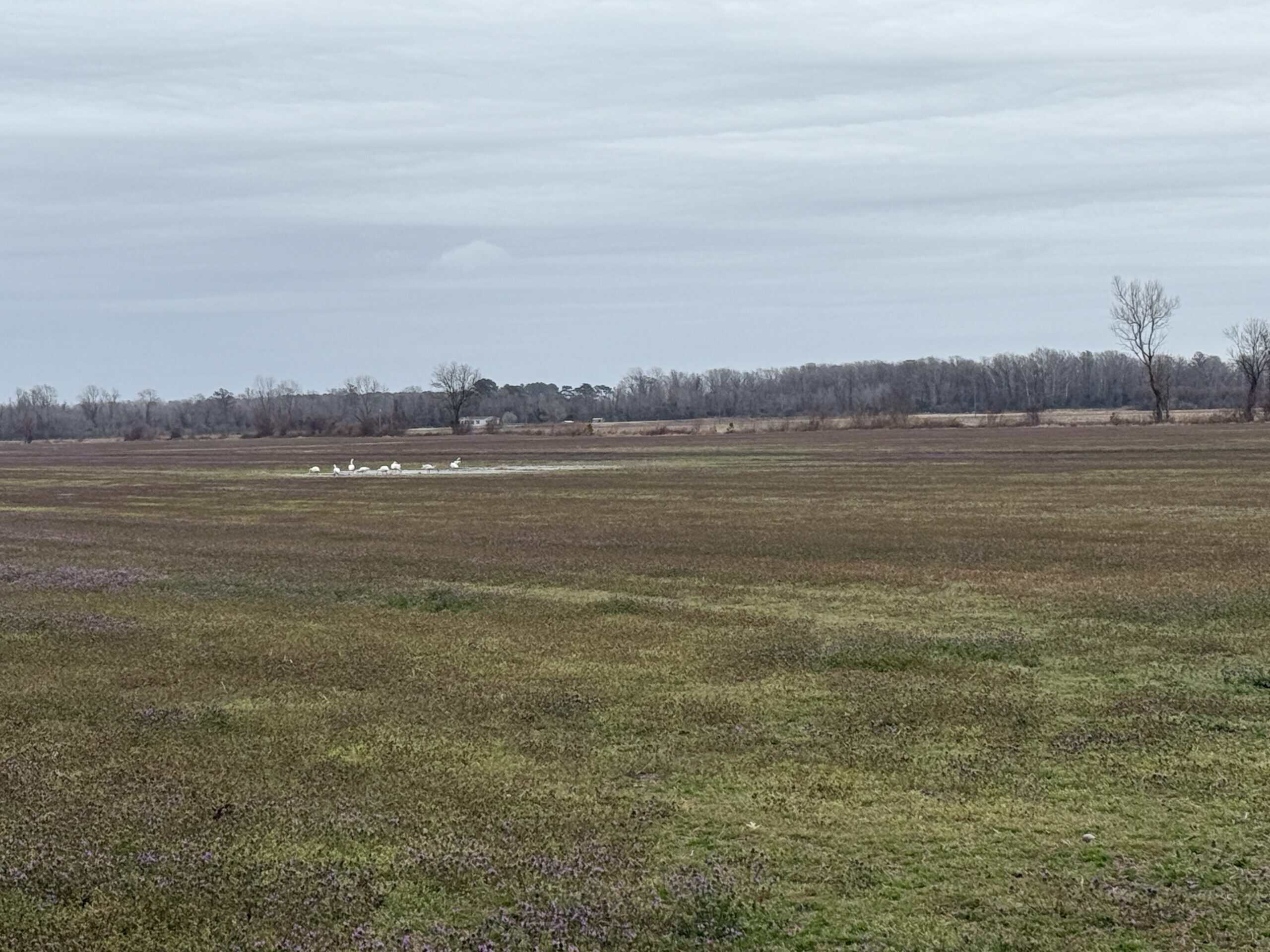 47± Acres Farmland with Road Frontage for Sale