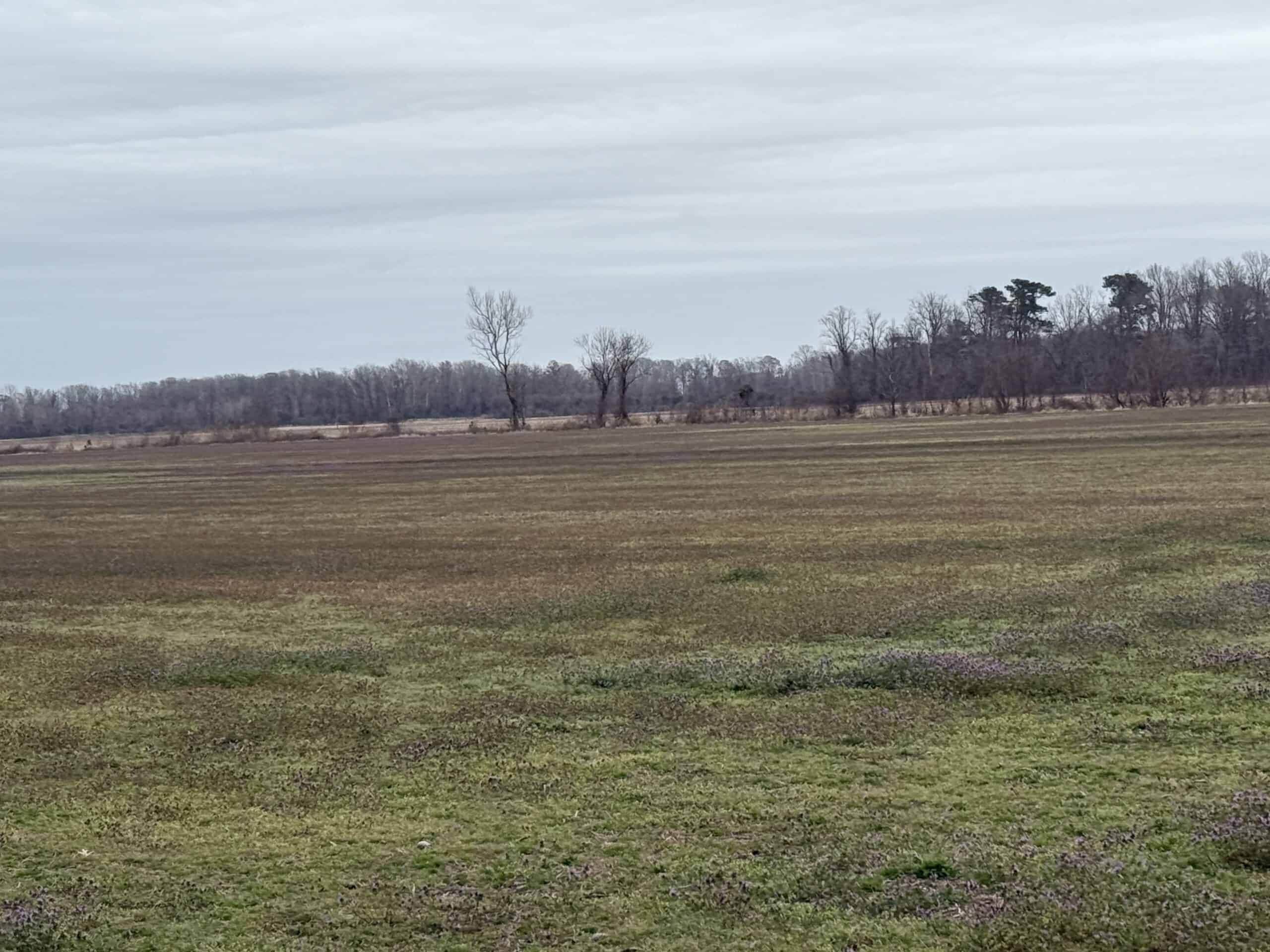 47± Acres Farmland with Road Frontage for Sale