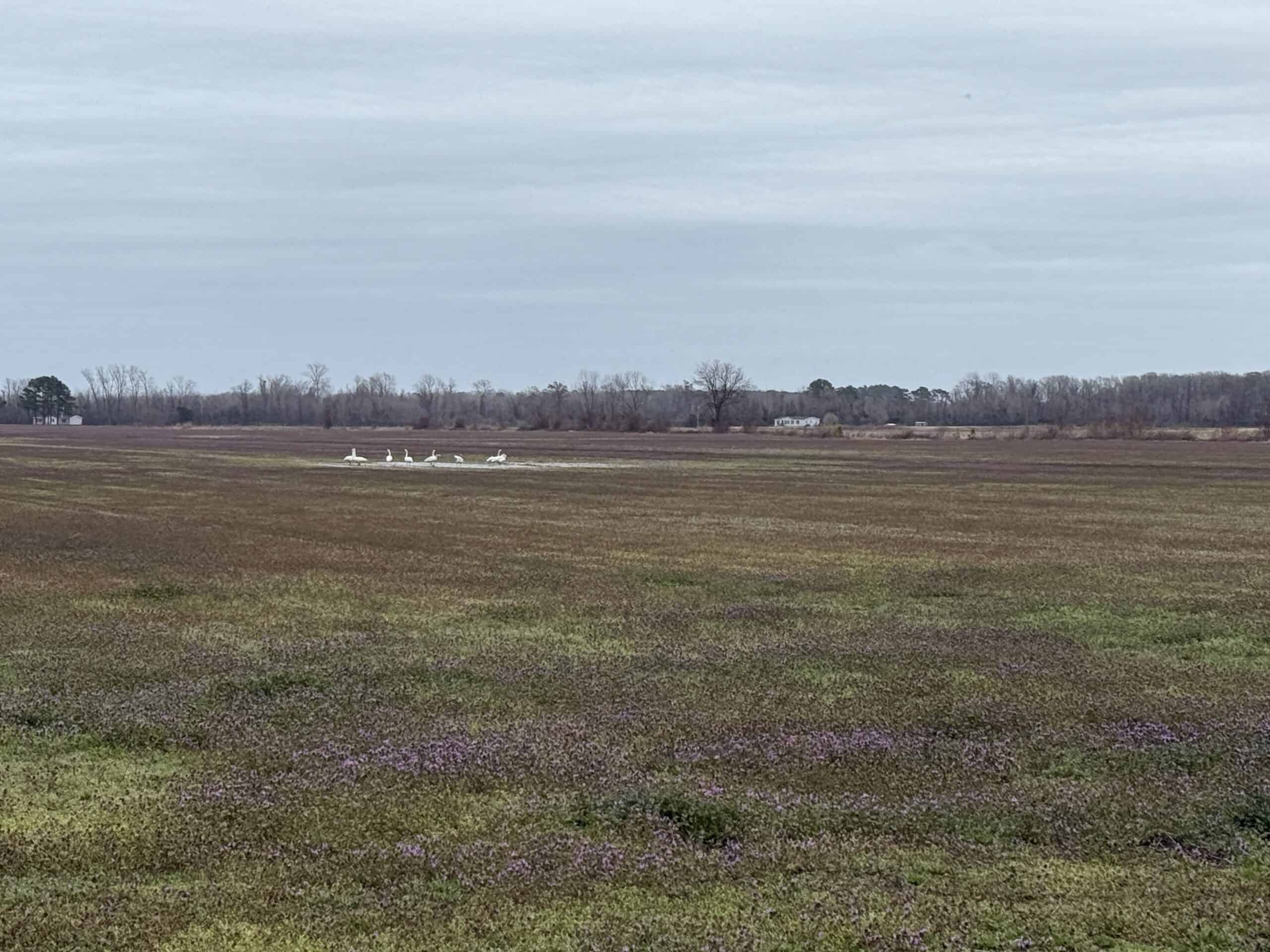 47± Acres Farmland with Road Frontage for Sale