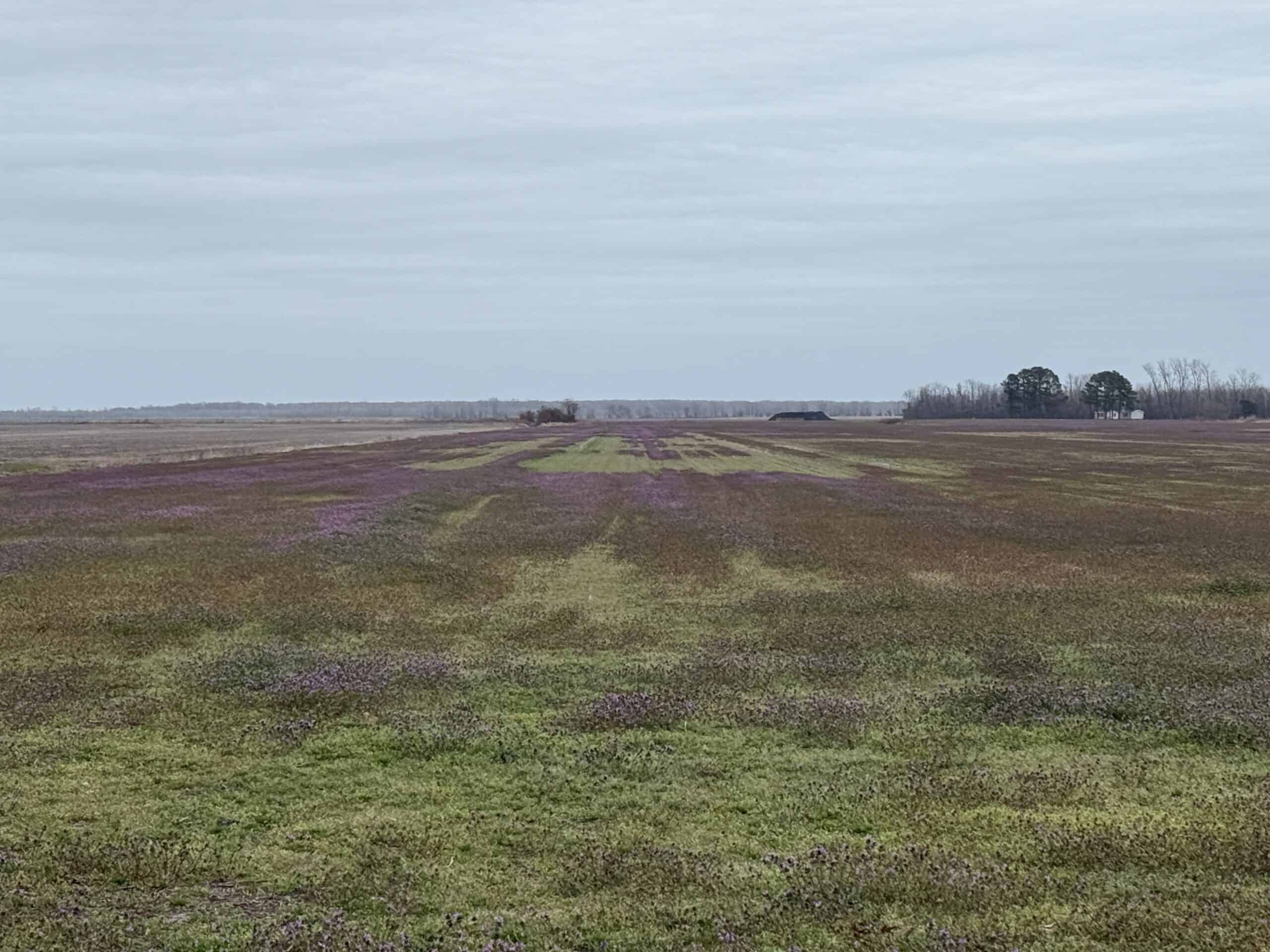 47± Acres Farmland with Road Frontage for Sale