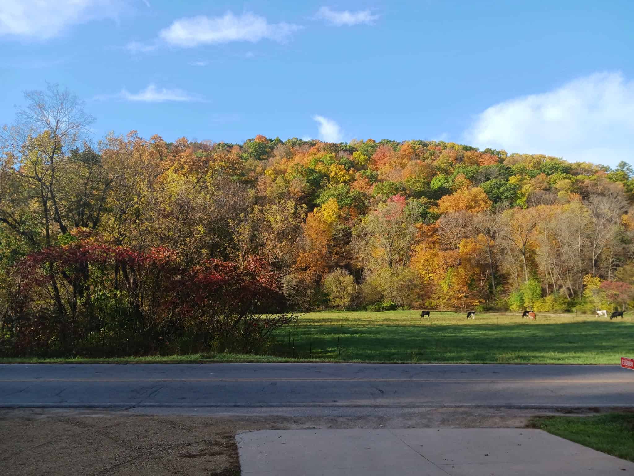 16.51 Acres, Mostly Wooded, Spring, Excellent Hunting SW Wisconsin