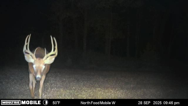 16.51 Acres, Mostly Wooded, Spring, Excellent Hunting SW Wisconsin