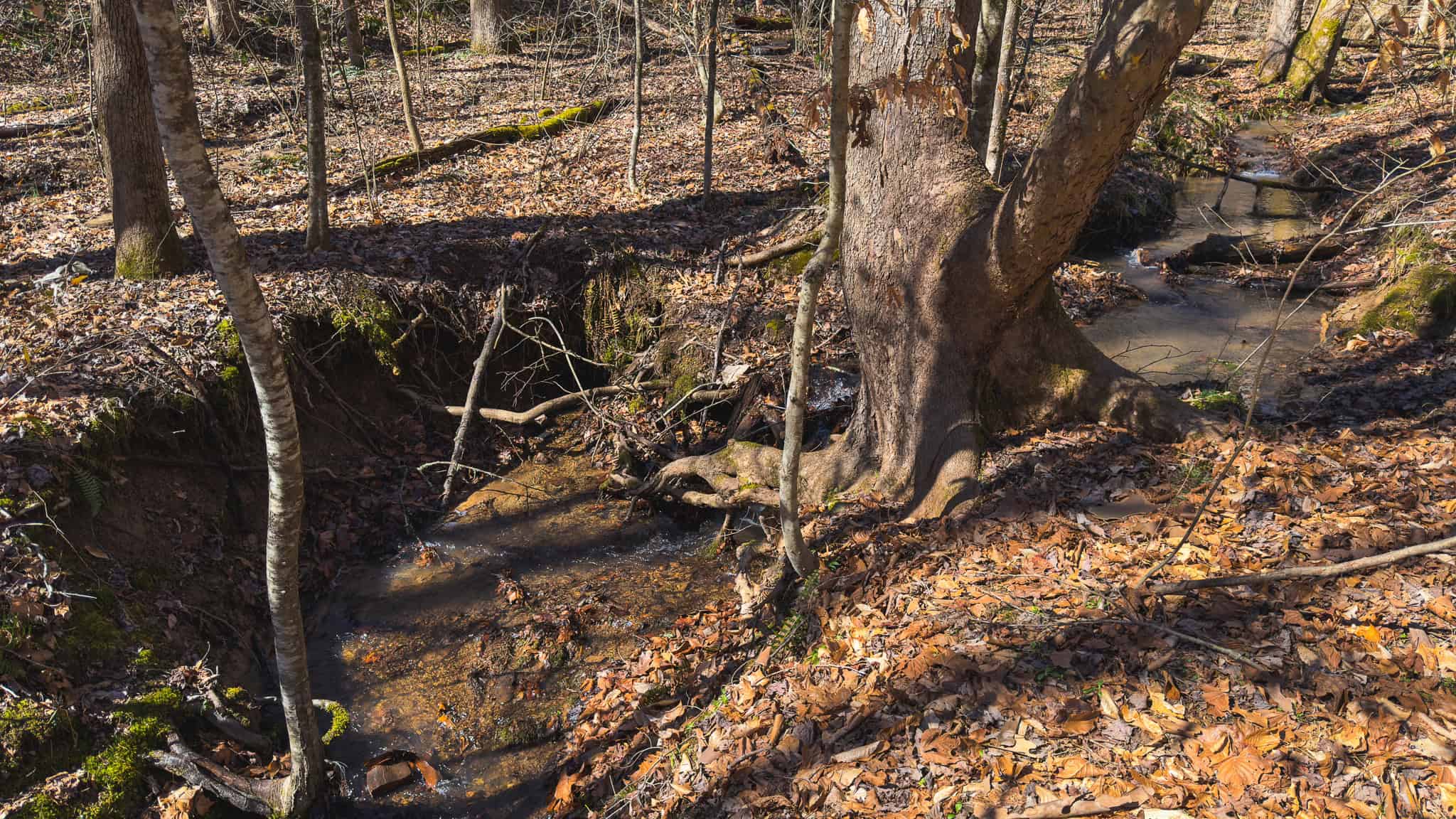 102.62 Unrestricted Acres with Farmhouse, Barn, Pond, Pasture, Timber, and East Tennessee Mountain Views in Hancock County