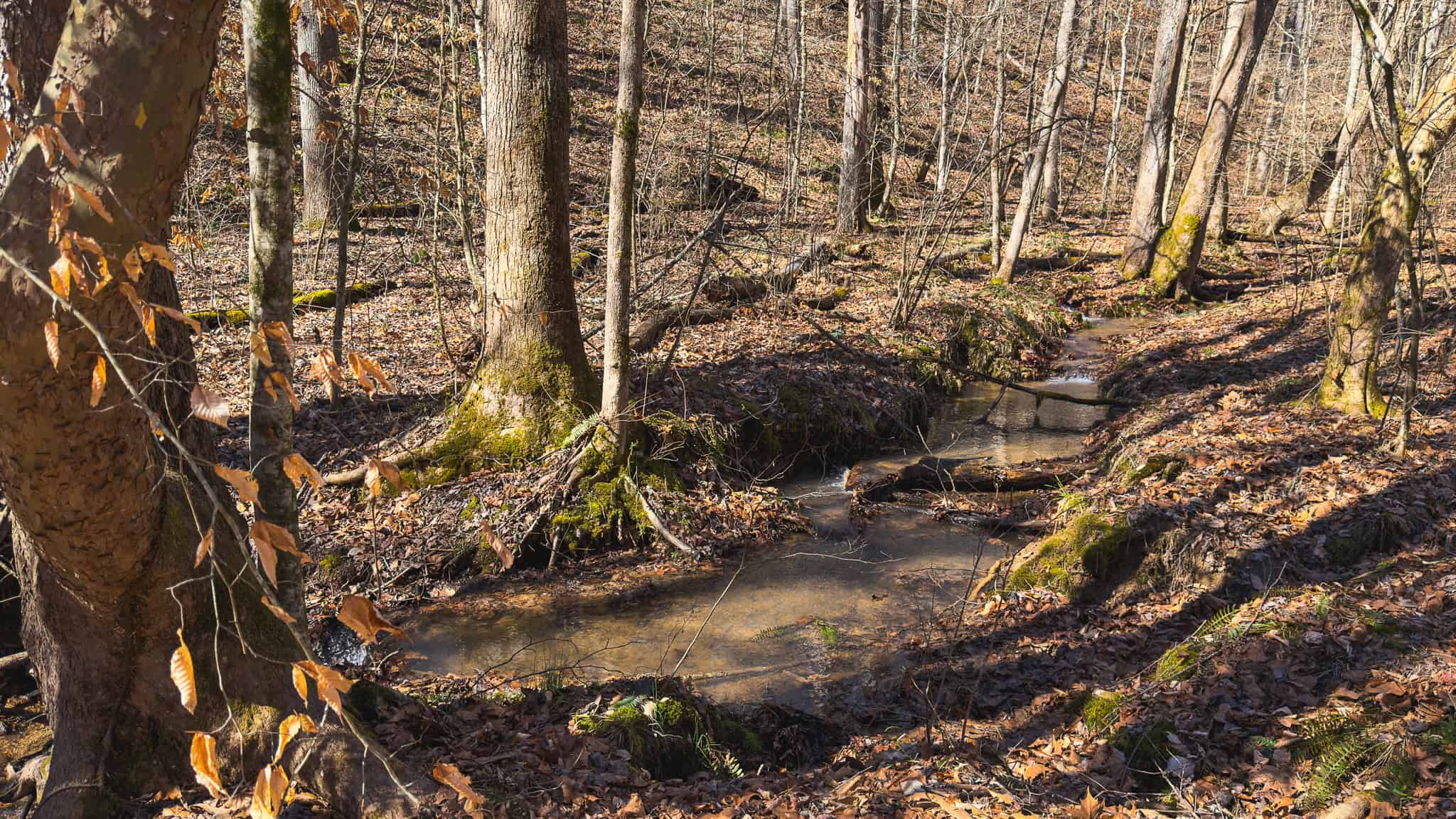 102.62 Unrestricted Acres with Farmhouse, Barn, Pond, Pasture, Timber, and East Tennessee Mountain Views in Hancock County