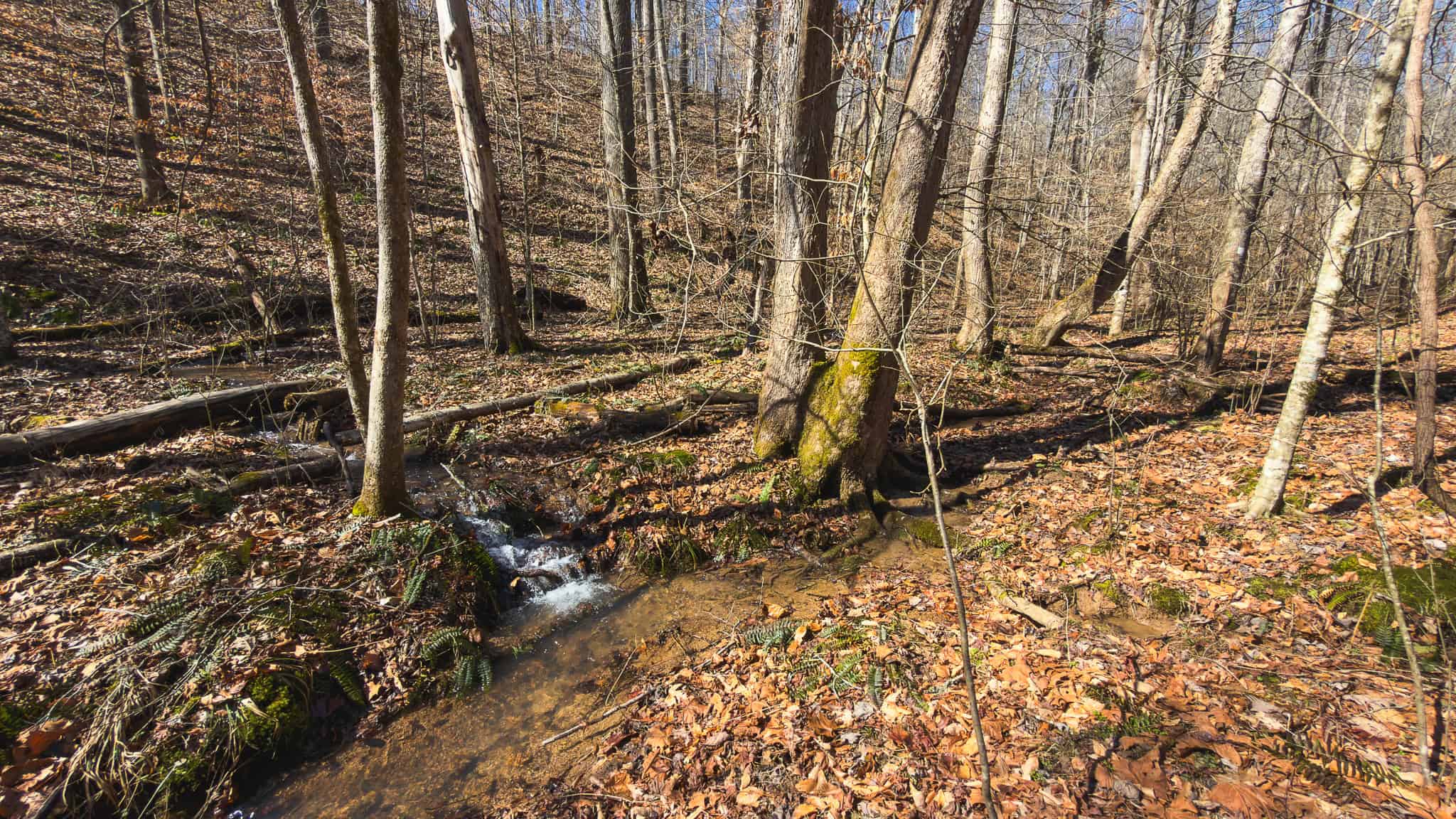 102.62 Unrestricted Acres with Farmhouse, Barn, Pond, Pasture, Timber, and East Tennessee Mountain Views in Hancock County
