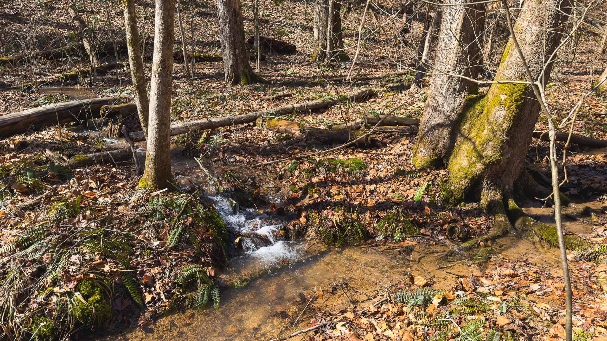 102.62 Unrestricted Acres with Farmhouse, Barn, Pond, Pasture, Timber, and East Tennessee Mountain Views in Hancock County