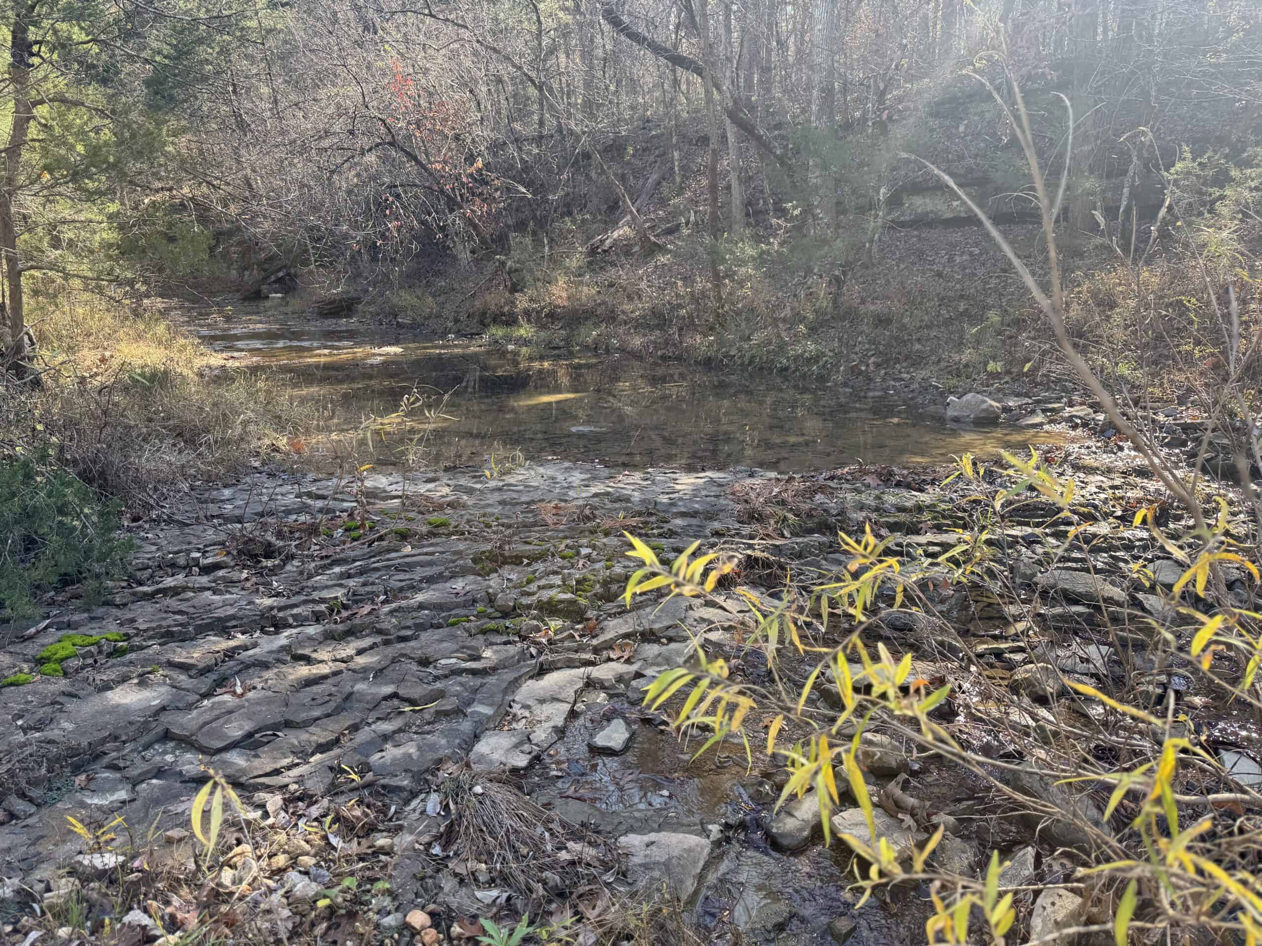 Hunting Land For Sale In North Central Arkansas