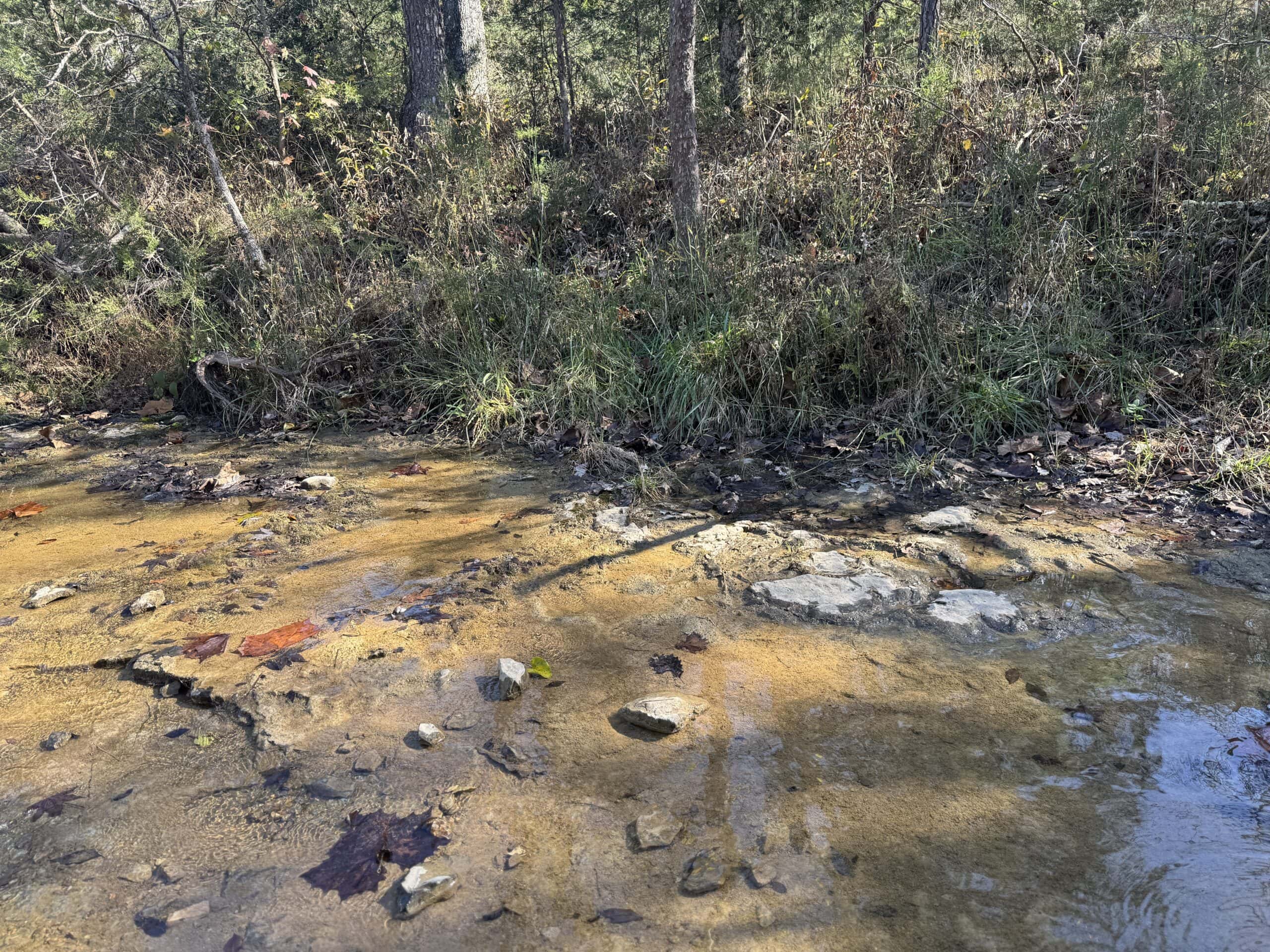 Hunting Land For Sale In North Central Arkansas